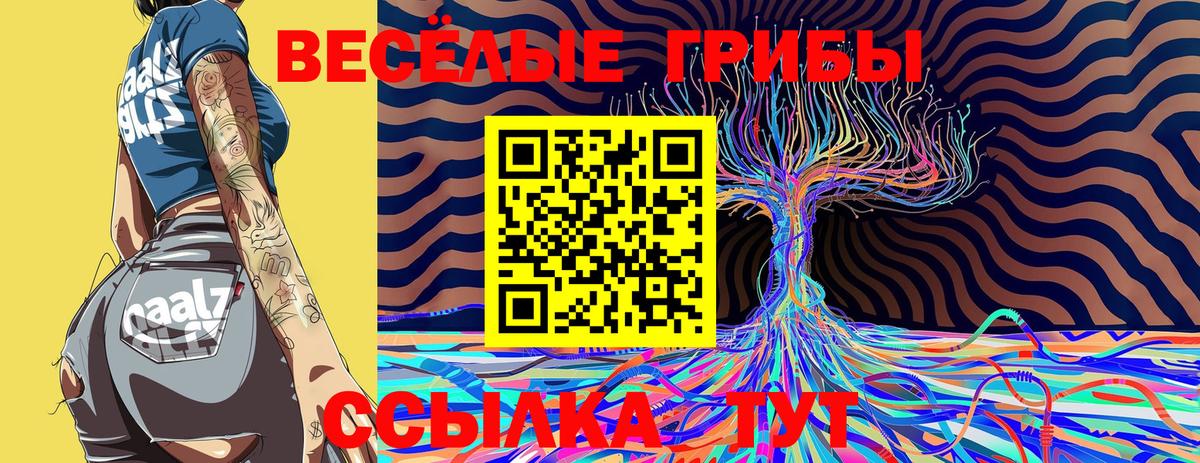 Псилоцибиновые грибы Magic Shrooms Нижнекамск