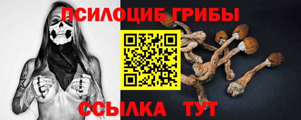Нижнекамск  Псилоцибиновые грибы прущие грибы  Псилоцибиновые грибы ЛСД  Вход с VPN 